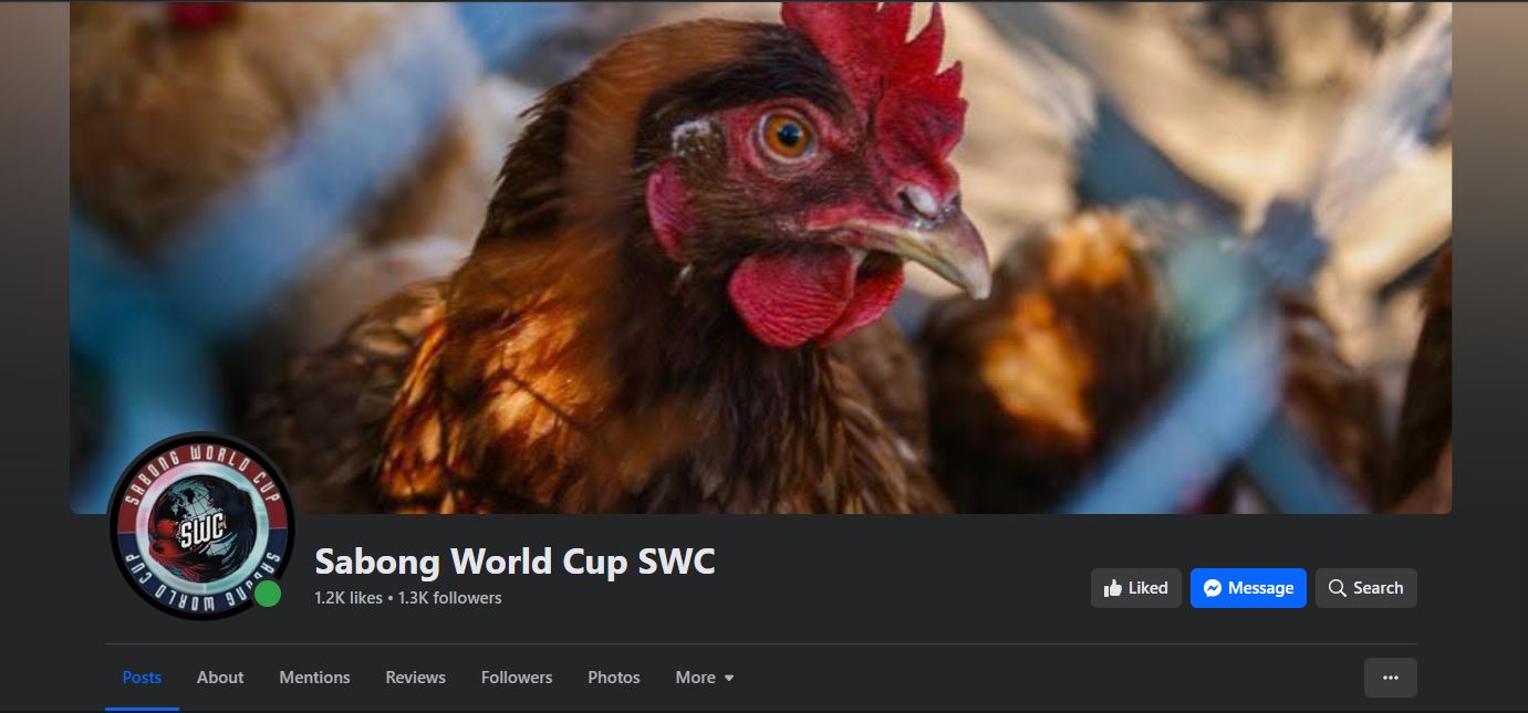 Sabong World Cup SWC facebook page